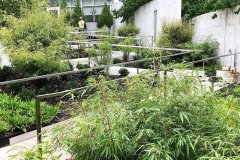 BBG-RAMP-RAILS-4