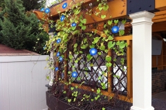 Abramowitz-Pergola-4