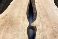 1_Dubner-Conference-4