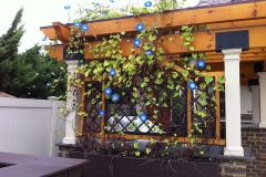 Abramowitz-Pergola-3