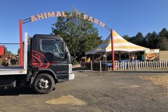 WP-Animal-Farm